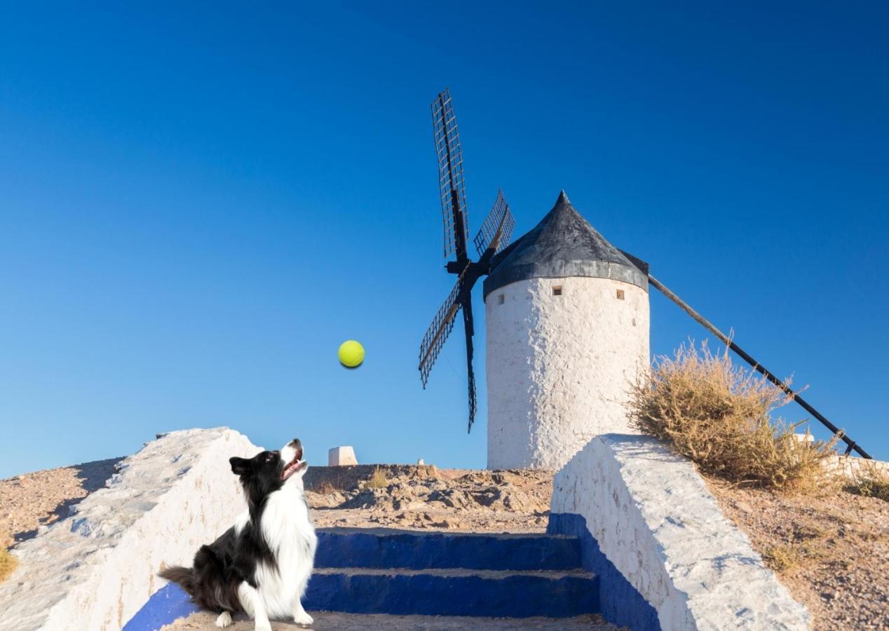 Apartamento Vistas Molineras Consuegra Εξωτερικό φωτογραφία